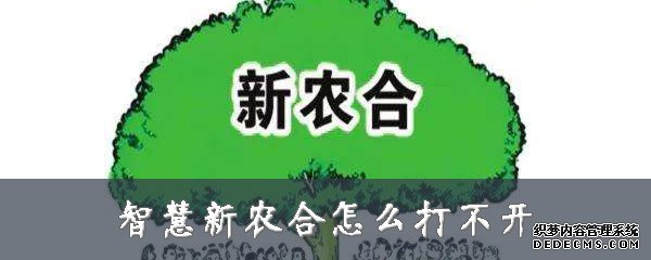 伶俐新農(nóng)合怎么打不開