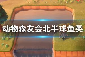 《集合啦動物森友會》北半球魚類分布及釣法技巧 北半球魚怎么釣