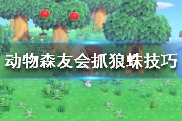 《集合啦動物森友會》狼蛛在哪里捉？狼蛛島抓狼蛛技巧