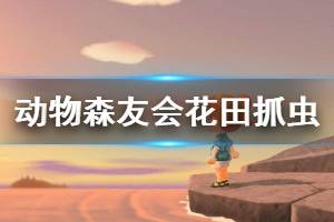 《集合啦動物森友會》花田抓蟲法怎么用 花田抓蟲法賺錢技巧一覽