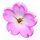 游俠網(wǎng)