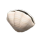 游俠網(wǎng)