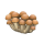 游俠網(wǎng)