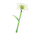 游俠網(wǎng)