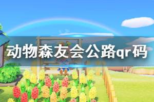 《集合啦動(dòng)物森友會(huì)》公路qr碼分享 公路怎么建