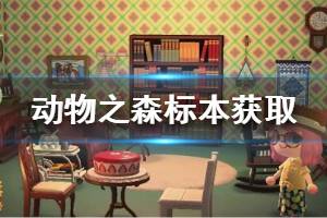 《集合啦動物森友會》標(biāo)本怎么獲得 標(biāo)本獲取方法介紹