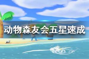 《集合啦動物森友會》五星島怎么速成 五星小島速成方法介紹