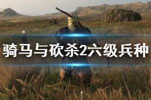 《騎馬與砍殺2》六級兵種誰最強(qiáng)？各國6級兵戰(zhàn)斗力排行與簡單評價