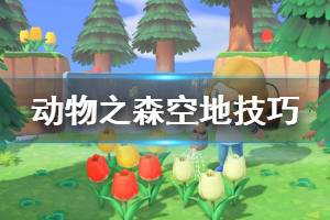 《集合啦動物森友會》怎么讓空地不被強(qiáng)塞動物 空地使用技巧分享