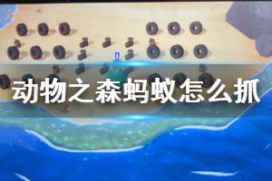 《集合啦動物森友會》螞蟻怎么抓 螞蟻蒼蠅捕捉方法介紹