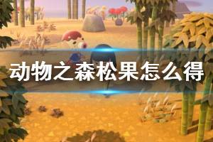 《集合啦動物森友會》松果怎么獲得 松果獲取方法介紹