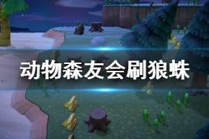 《集合啦動物森友會》刷狼蛛賺錢方法介紹 怎么刷狼蛛