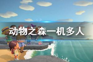 《集合啦動物森友會》一機雙人怎么玩 一機多人玩法須知