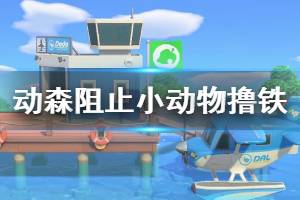 《集合啦動物森友會》怎么阻止小動物擼鐵 阻止擼鐵方法介紹