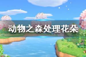 《集合啦動(dòng)物森友會(huì)》花太多怎么辦 花太多處理方法介紹