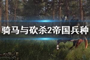 《騎馬與砍殺2》帝國兵種詳解 帝國兵種戰(zhàn)術(shù)打法介紹