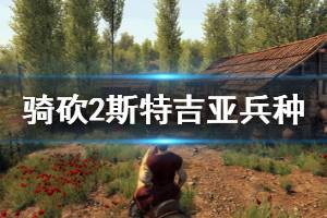 《騎馬與砍殺2》斯特吉亞兵種強(qiáng)度怎么樣 斯特吉亞兵種戰(zhàn)術(shù)打法介紹