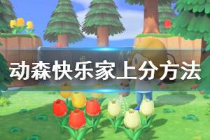 《集合啦動物森友會》快樂家協(xié)會S級怎么達成 快樂家上分方法介紹