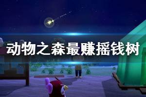 《集合啦動物森友會》搖錢樹怎么種最賺 搖錢樹最賺種法介紹