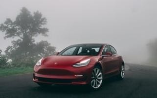 自動駕駛又出事？傳一輛特斯拉Model 3撞上白色卡車