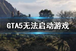 《GTA5》無(wú)法啟動(dòng)游戲怎么辦 無(wú)法啟動(dòng)游戲解決方法介紹