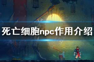 《死亡細(xì)胞》npc大全 npc作用介紹