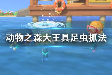 《集合啦動物森友會》大王具足蟲怎么抓？大王具足蟲抓法技巧