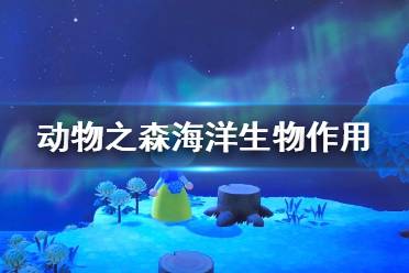 《集合啦動物森友會》海洋生物有什么用 海洋生物作用介紹