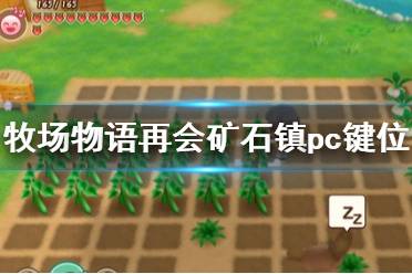 《牧場物語再會礦石鎮(zhèn)》pc鍵位操作一覽 pc版怎么操作？