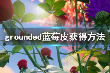 《禁閉求生》藍莓皮怎么獲得 grounded藍莓皮獲得方法一覽