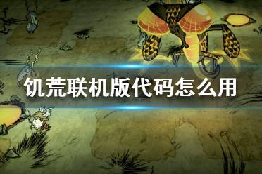《饑荒聯(lián)機版》代碼怎么用 控制臺使用方法