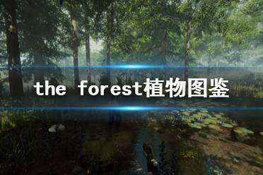 《森林》游戲植物有什么 the forest植物圖鑒分享