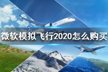 《微軟模擬飛行2020》怎么購買？購買方法介紹