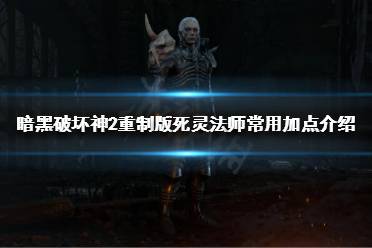 《暗黑破壞神2重制版》死靈法師有哪些流派？死靈法師常用加點(diǎn)介紹