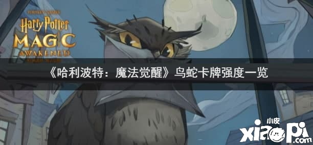 《哈利波特：邪術(shù)覺(jué)醒》鳥(niǎo)蛇卡牌強(qiáng)度一覽