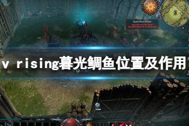 《吸血鬼崛起》v rising暮光鯛魚有什么用？v rising暮光鯛魚位置及作用