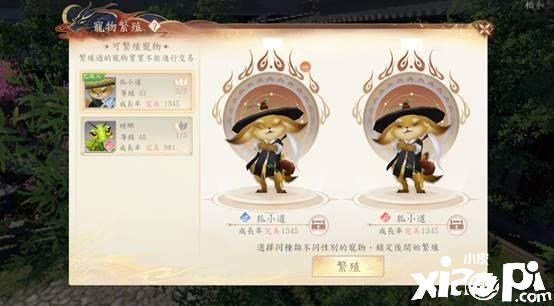 《天龍八部2》手游：輕功翱翔、水上漂帶你回武俠世界當大俠