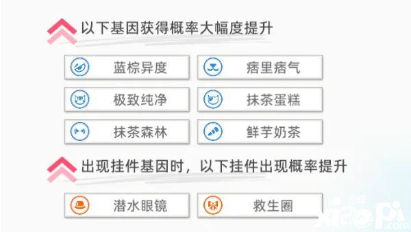 《貓之城》海灣救助主題貓怎么得到？海灣救助主題貓獲取攻略