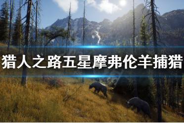 《獵人之路》五星摩弗倫羊怎么抓？五星摩弗倫羊捕獵方法介紹